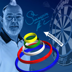 ANILLOS DE ENTRENAMIENTO PETER WRIGHT